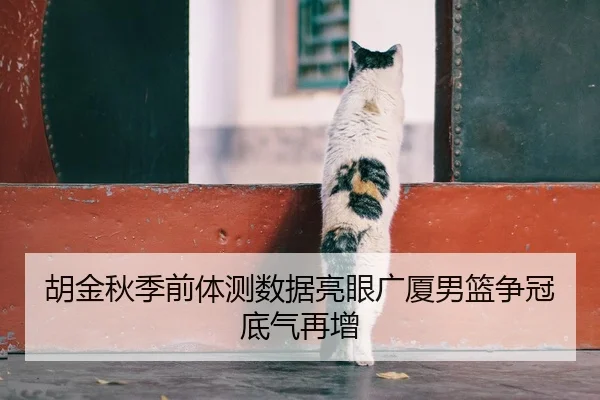 胡金秋季前体测数据亮眼广厦男篮争冠底气再增